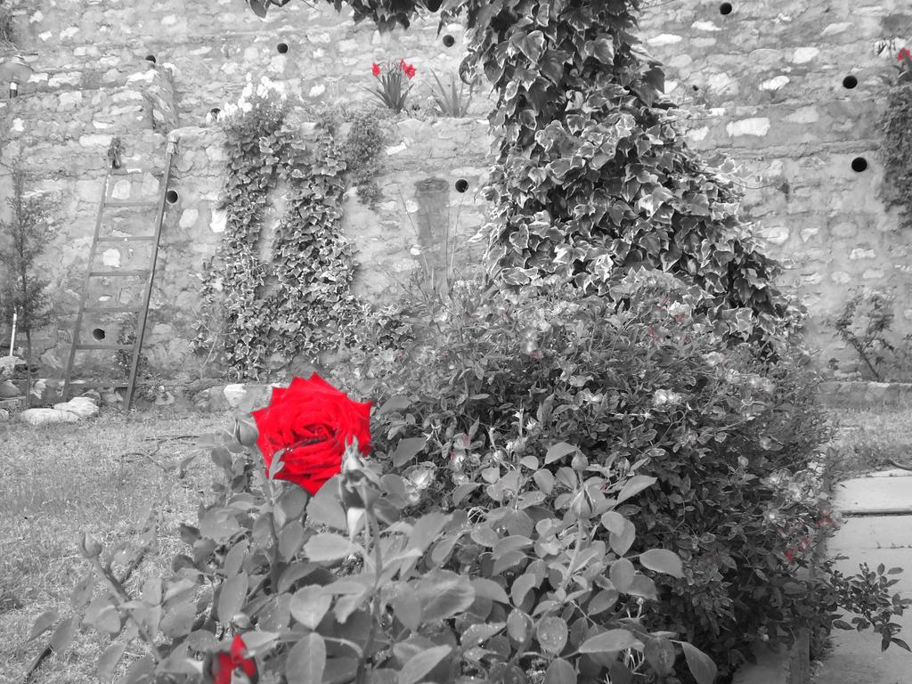 Hostie Sharanam - 2Bhk Pvt Mountain Villa, Majkhali Ranikhet Esterno foto